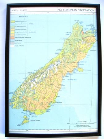 A 1950's vintage map featuring the pre-European vegetation of the South Island